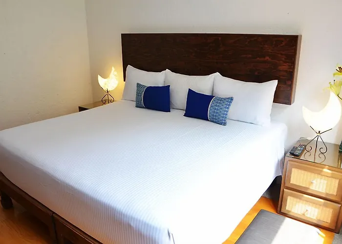 Casa Coyoacan Inn 3*