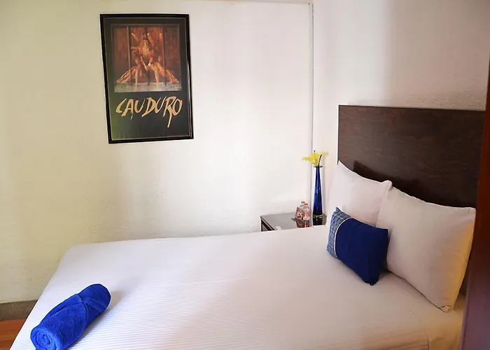 Casa Coyoacan Mexico City