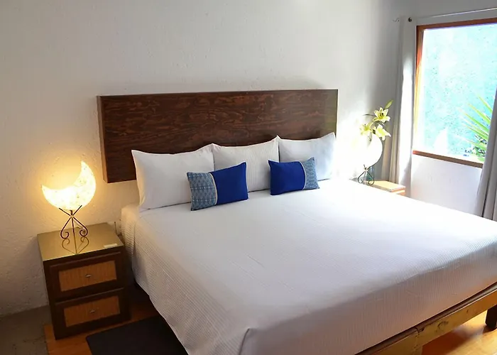 Casa Coyoacan Mexico City