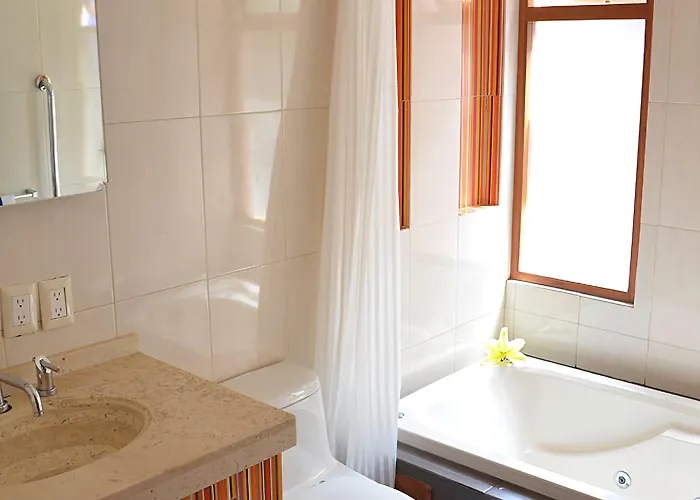 Inn Casa Coyoacan Mexico City