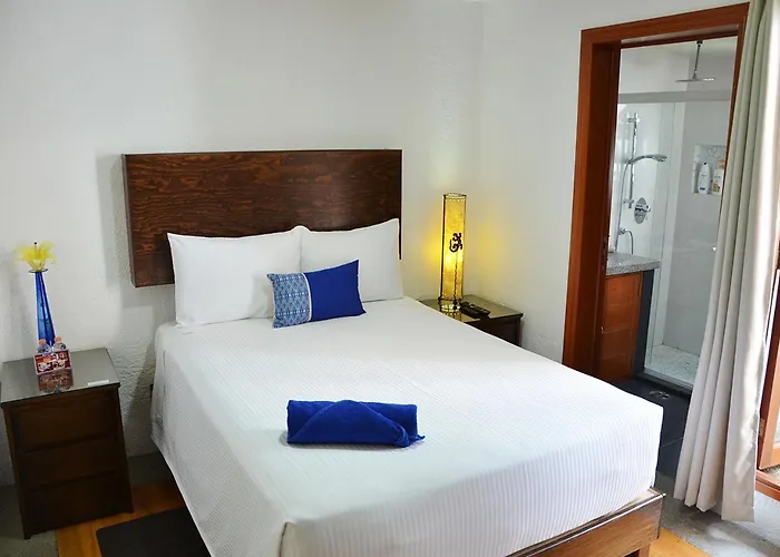 Inn Casa Coyoacan